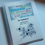 Camelia Maison d'hôtes