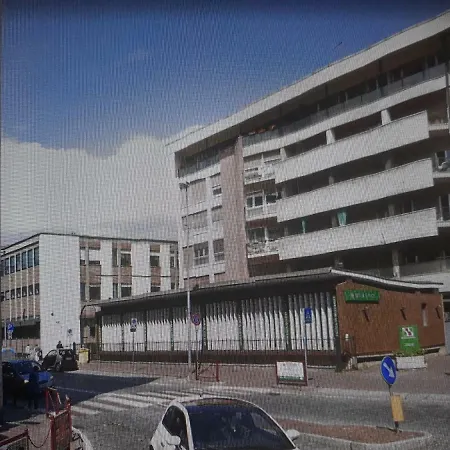 Camelia ゲストハウス 3*