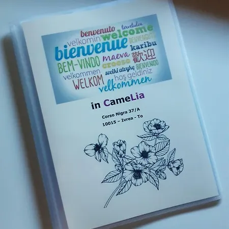 Camelia בית הארחה