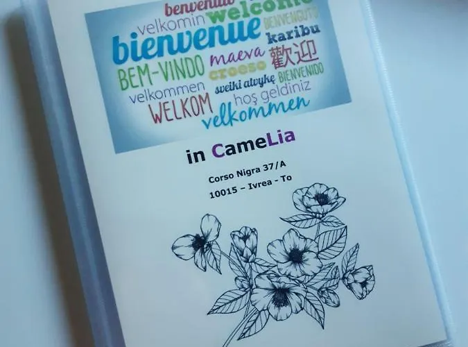 Camelia ゲストハウス